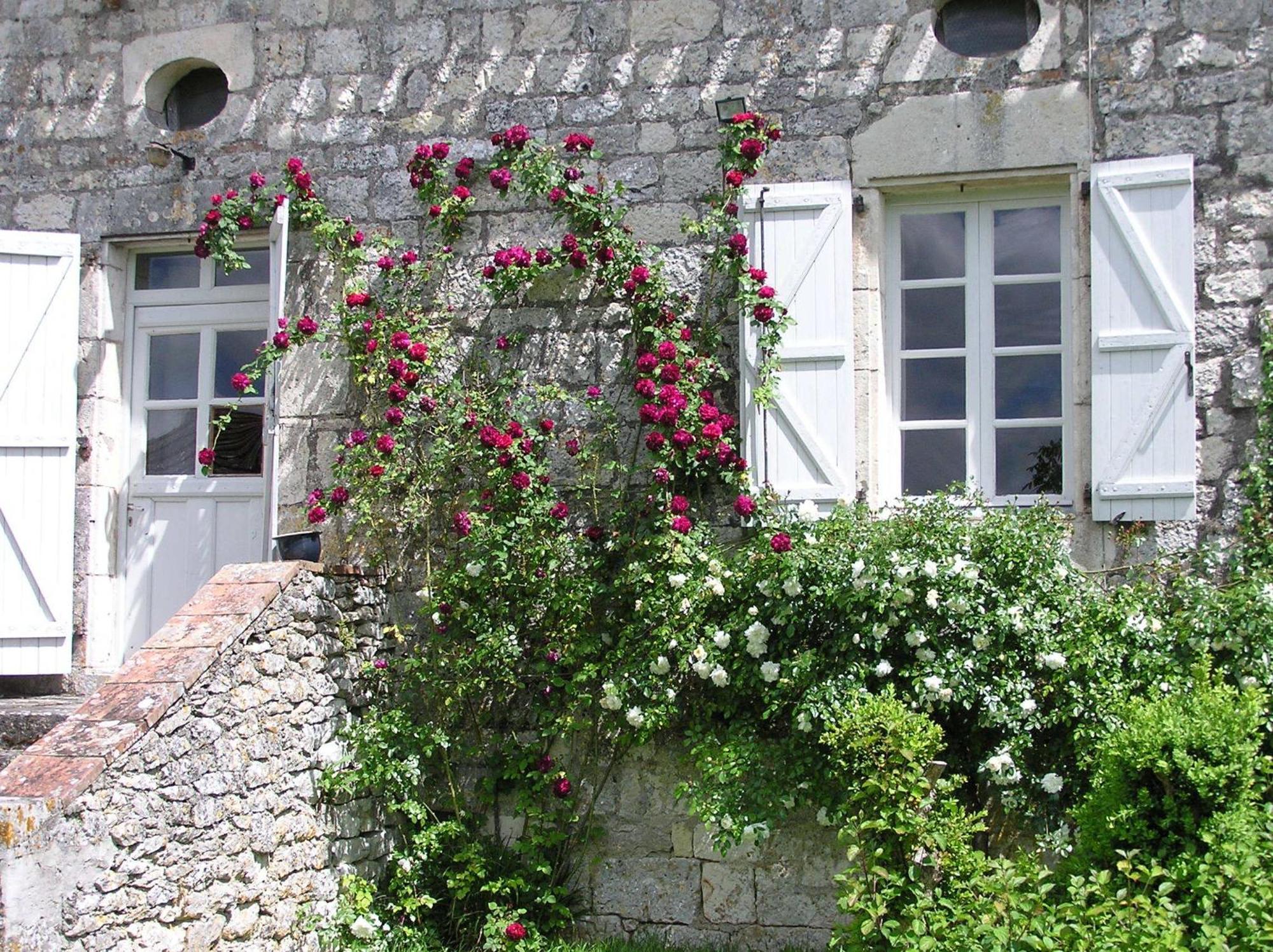 Bed and Breakfast Domaine De L'Isle Basse Fontanes  Номер фото